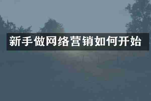 新手做网络营销如何开始