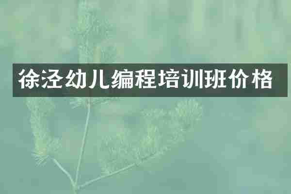 徐泾幼儿编程培训班价格