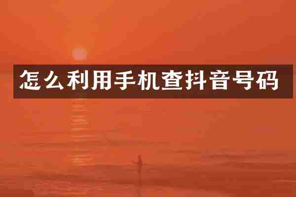 怎么利用手机查抖音号码