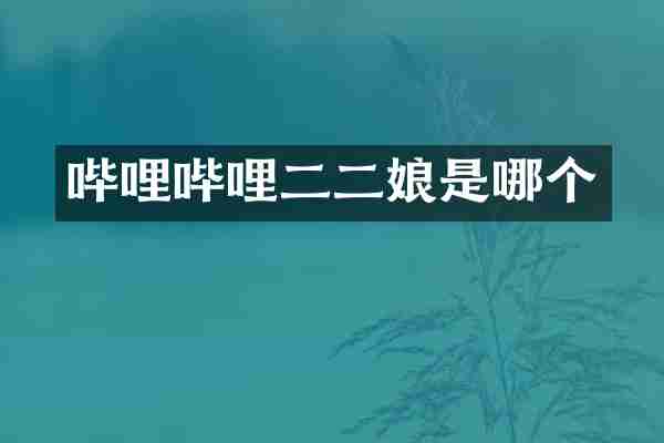 哔哩哔哩二二娘是哪个