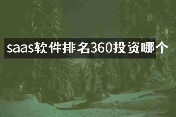 saas软件排名360投资哪个