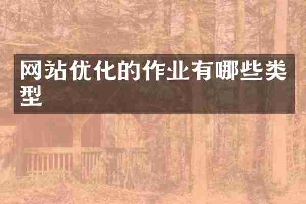 网站优化的作业有哪些类型