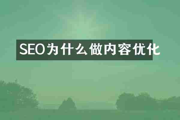 SEO为什么做内容优化