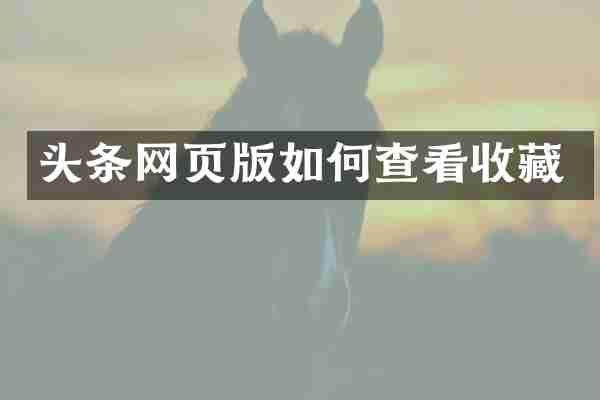 头条网页版如何查看收藏