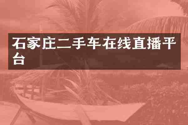 石家庄二手车在线直播平台