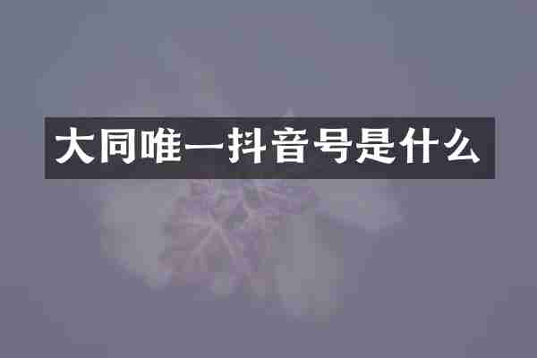 大同唯一抖音号是什么