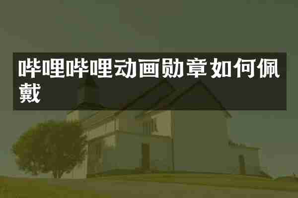 哔哩哔哩动画勋章如何佩戴