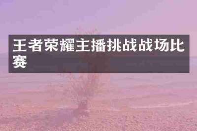 王者荣耀主播挑战战场比赛