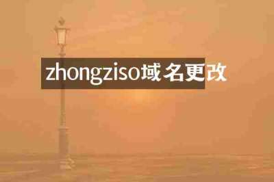 zhongziso域名更改
