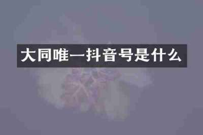 大同唯一抖音号是什么