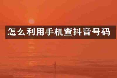怎么利用手机查抖音号码