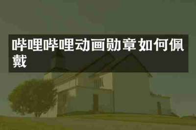 哔哩哔哩动画勋章如何佩戴