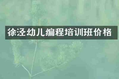 徐泾幼儿编程培训班价格