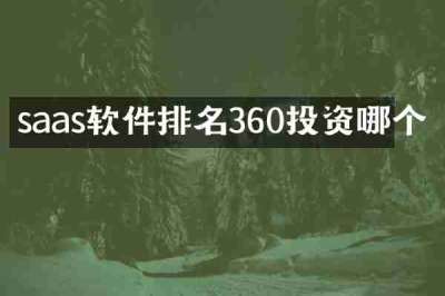 saas软件排名360投资哪个