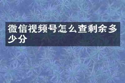 微信视频号怎么查剩余多少分