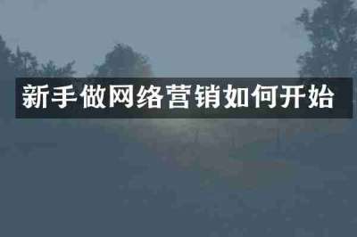 新手做网络营销如何开始