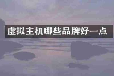 虚拟主机哪些品牌好一点