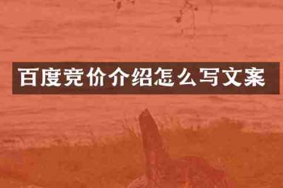 百度竞价介绍怎么写文案
