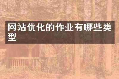 网站优化的作业有哪些类型