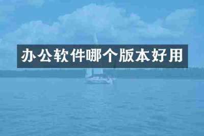 办公软件哪个版本好用