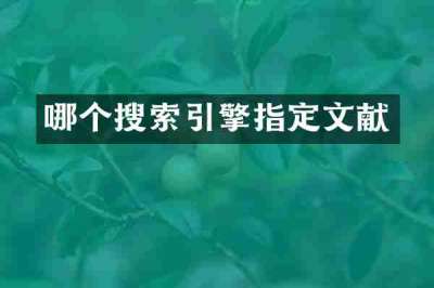 哪个搜索引擎指定文献