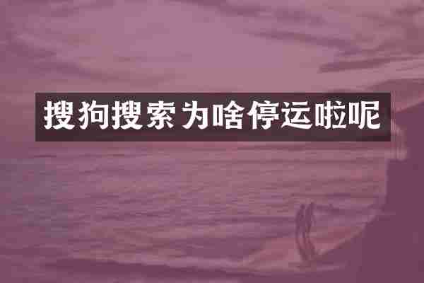 搜狗搜索为啥停运啦呢