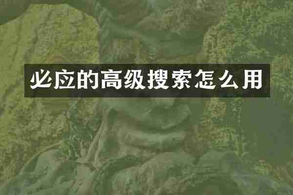 必应的高级搜索怎么用