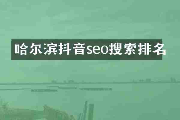 哈尔滨抖音seo搜索排名