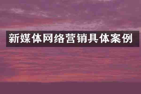 新媒体网络营销具体案例