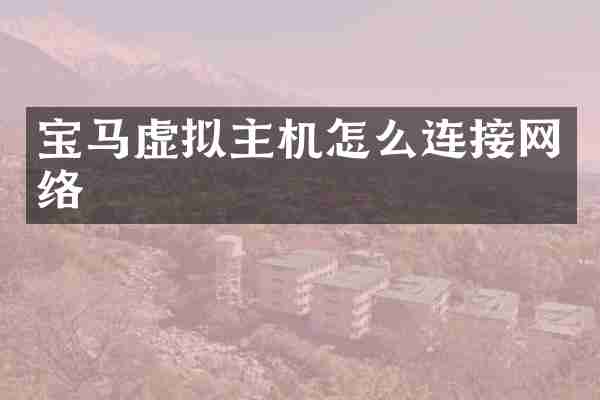 宝马虚拟主机怎么连接网络
