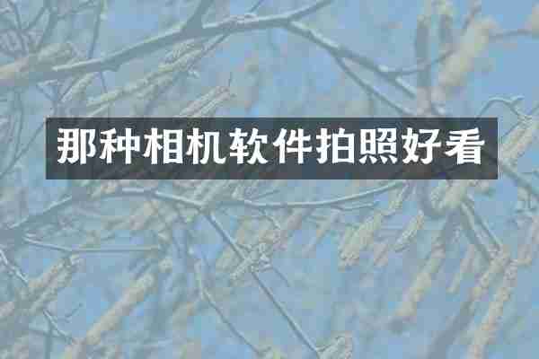 那种相机软件拍照好看