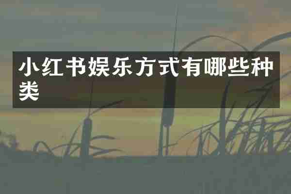 小红书娱乐方式有哪些种类