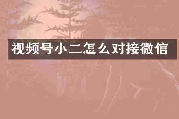 视频号小二怎么对接微信
