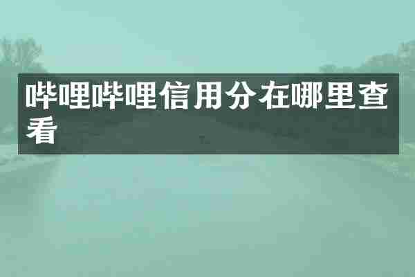 哔哩哔哩信用分在哪里查看