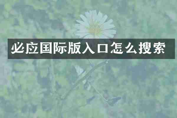 必应国际版入口怎么搜索