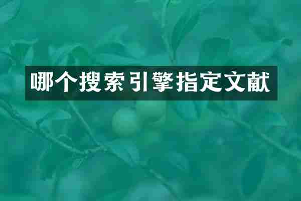 哪个搜索引擎指定文献