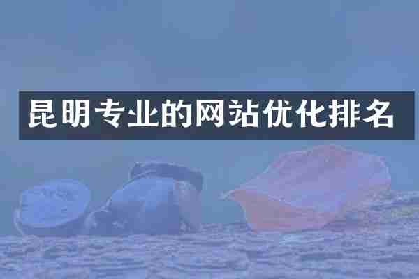 昆明专业的网站优化排名