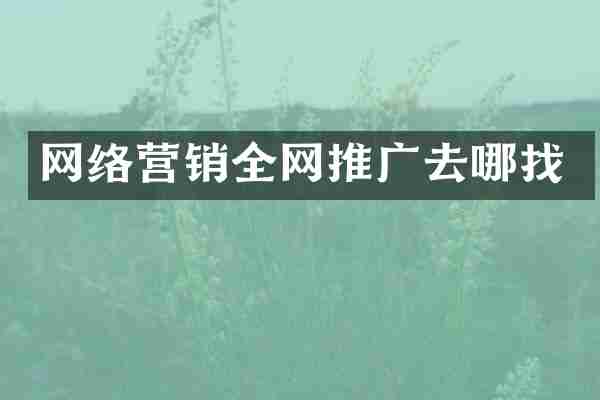 网络营销全网推广去哪找