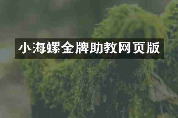 小海螺金牌助教网页版