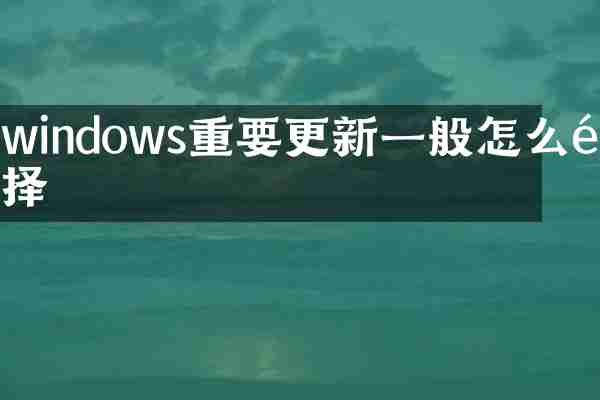 windows重要更新一般怎么选择