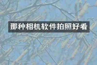 那种相机软件拍照好看