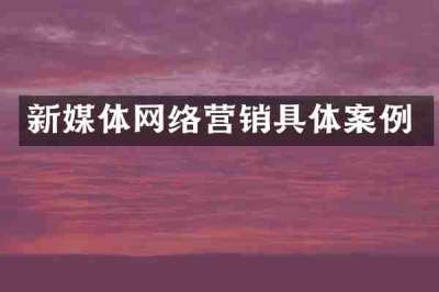 新媒体网络营销具体案例
