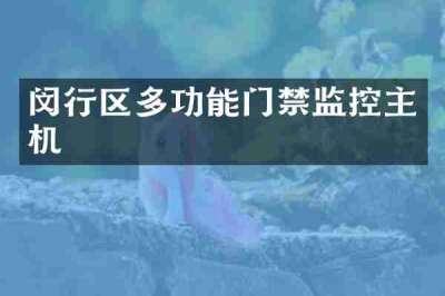 闵行区多功能门禁监控主机