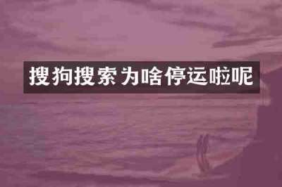 搜狗搜索为啥停运啦呢