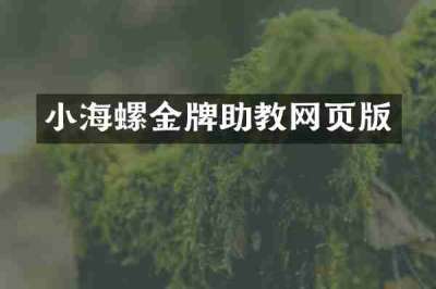 小海螺金牌助教网页版