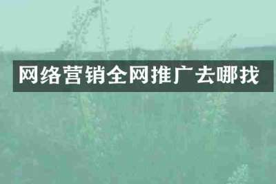 网络营销全网推广去哪找