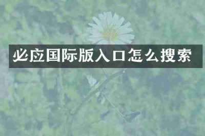 必应国际版入口怎么搜索