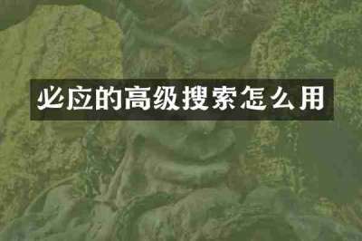 必应的高级搜索怎么用