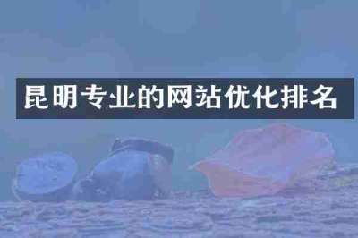 昆明专业的网站优化排名