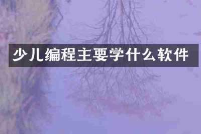 少儿编程主要学什么软件